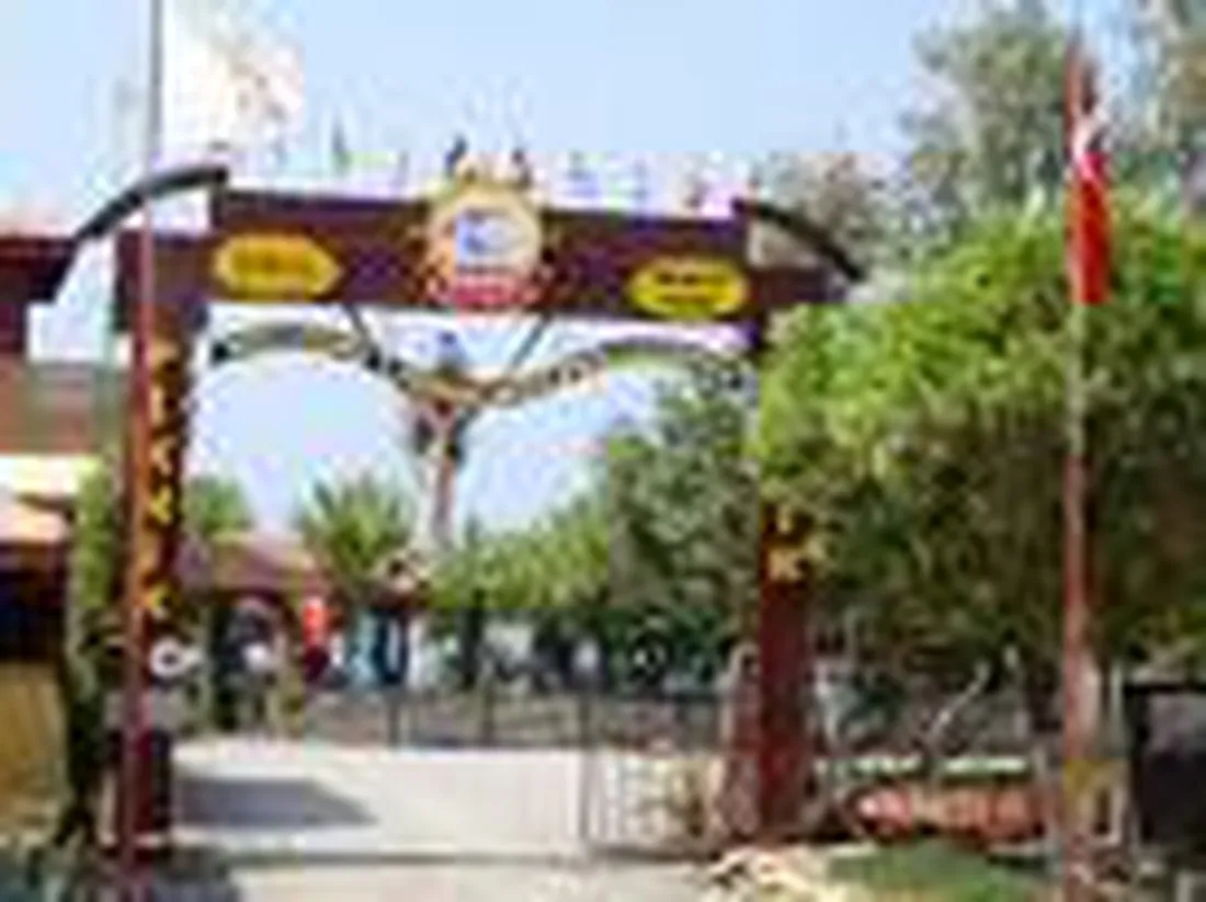 sedre-club-alanya-bzufc