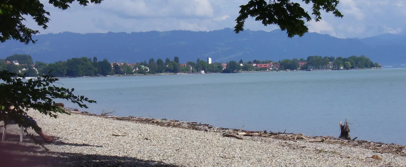 Iriswiese