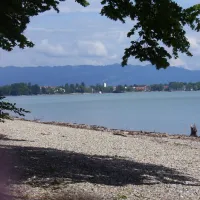 Iriswiese