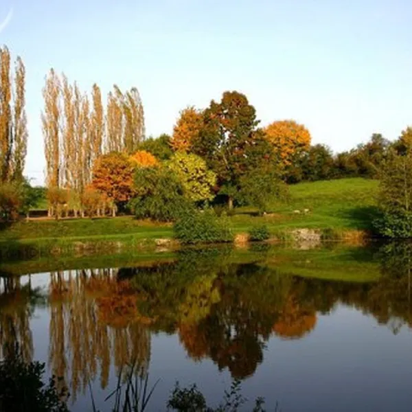 les-portes-du-morvan-issy-l-eveque-saone-et-loire-olyww