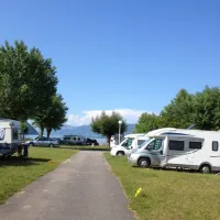 lile-aux-cygnes-le-bourget-du-lac-savoie-1hgpj