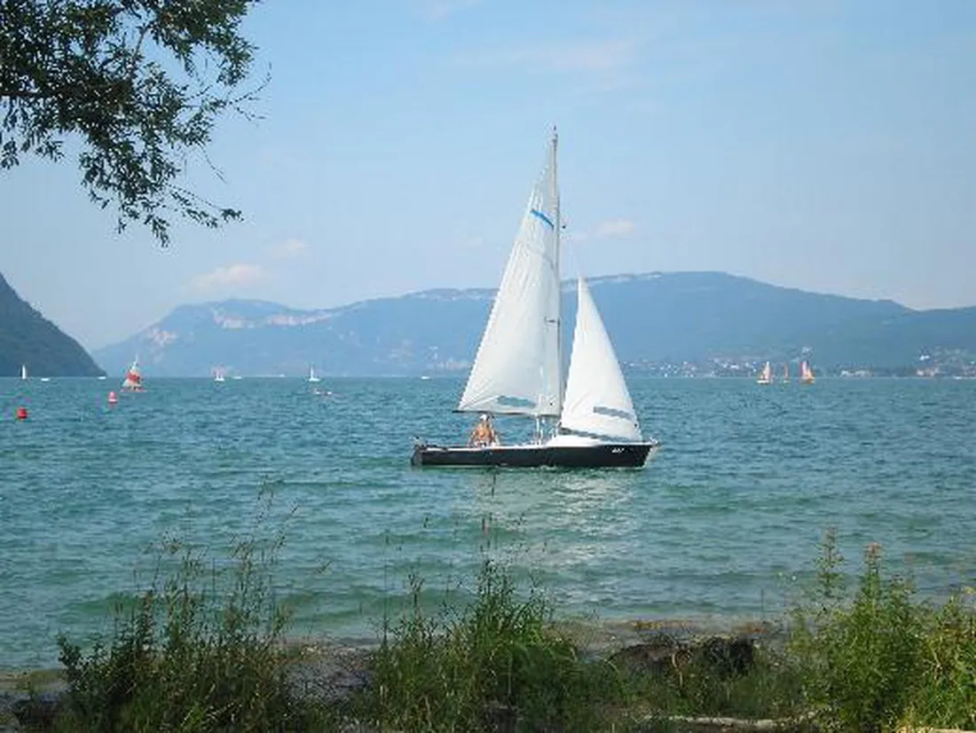 lile-aux-cygnes-le-bourget-du-lac-savoie-jsbrf