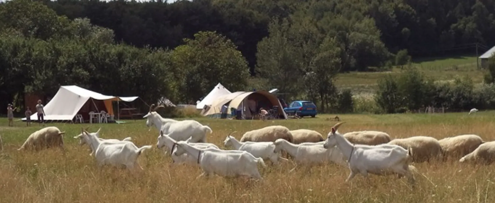 Farm & Camping Lazy