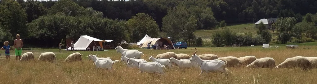 farm-camping-lazy-b7cmm