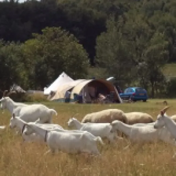 Farm & Camping Lazy