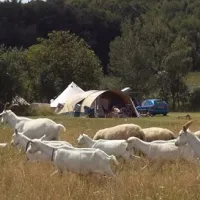 Farm & Camping Lazy