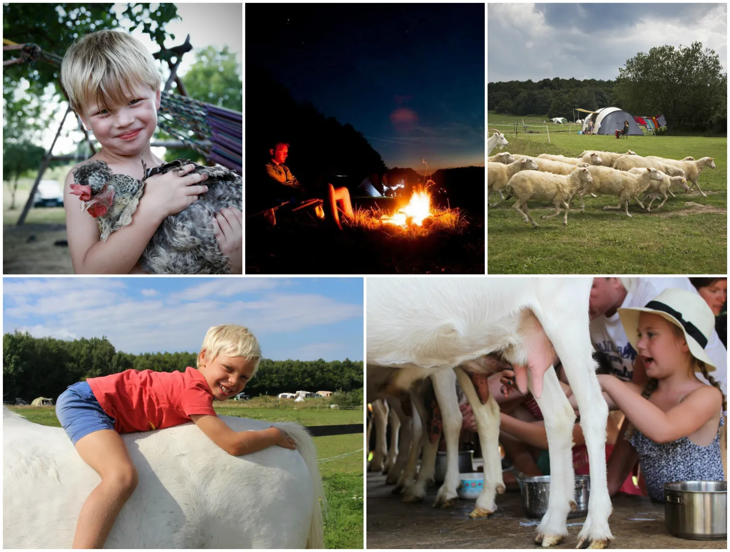 farm-camping-lazy-duusi