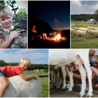 farm-camping-lazy-duusi
