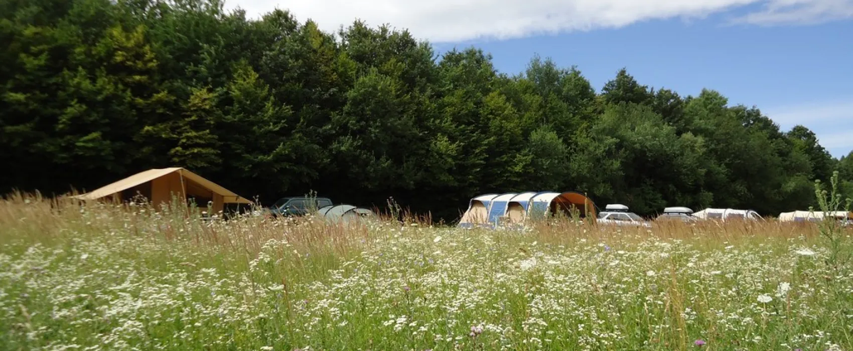 Farm & Camping Lazy