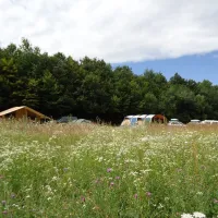 farm-camping-lazy-of2co