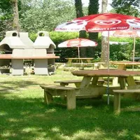 bois-de-beaumard-pontchateau-loire-atlantique-4wkc3