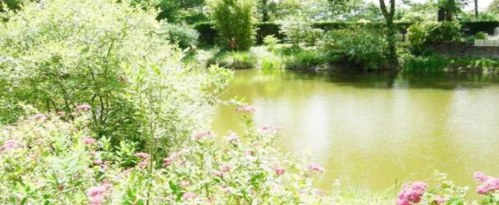 Bois de Beaumard