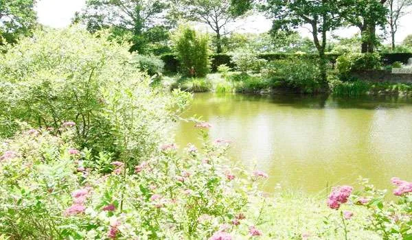 bois-de-beaumard-pontchateau-loire-atlantique-audzp