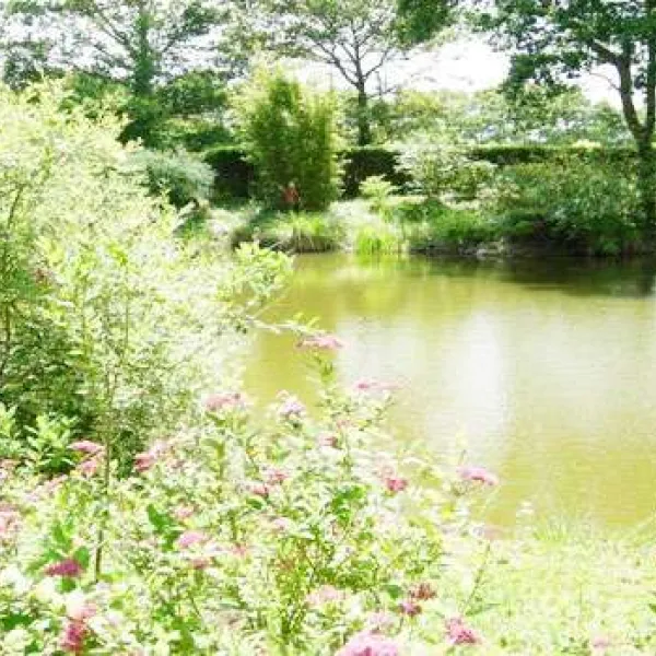 bois-de-beaumard-pontchateau-loire-atlantique-audzp