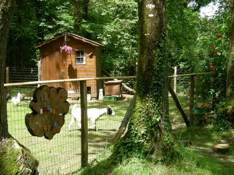 bois-de-beaumard-pontchateau-loire-atlantique-ng0uq