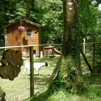 bois-de-beaumard-pontchateau-loire-atlantique-ng0uq