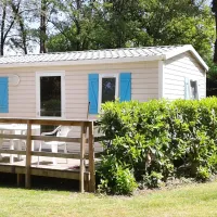 bois-de-beaumard-pontchateau-loire-atlantique-sraez