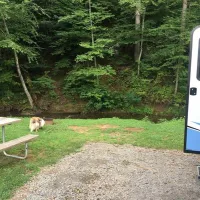 misty-mountain-camp-resort-greenwood-iuokv