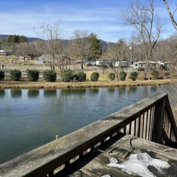 misty-mountain-camp-resort-greenwood-ynwvb