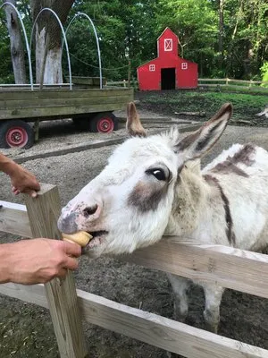 terre-haute-koa-terre-haute-untjf