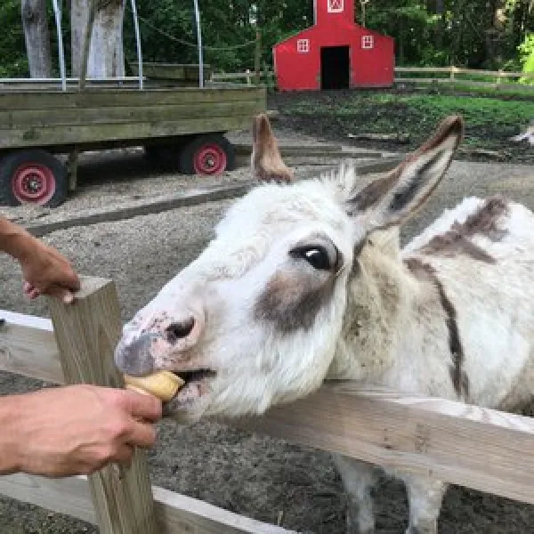 terre-haute-koa-terre-haute-untjf