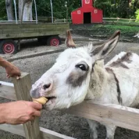 terre-haute-koa-terre-haute-untjf