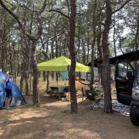 north-of-highland-camping-area-north-truro-pjvwd