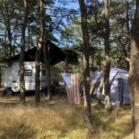 north-of-highland-camping-area-north-truro-tmdms
