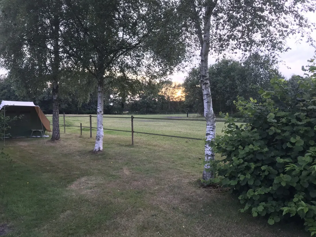de-deelderij-schoonloo-x6eds