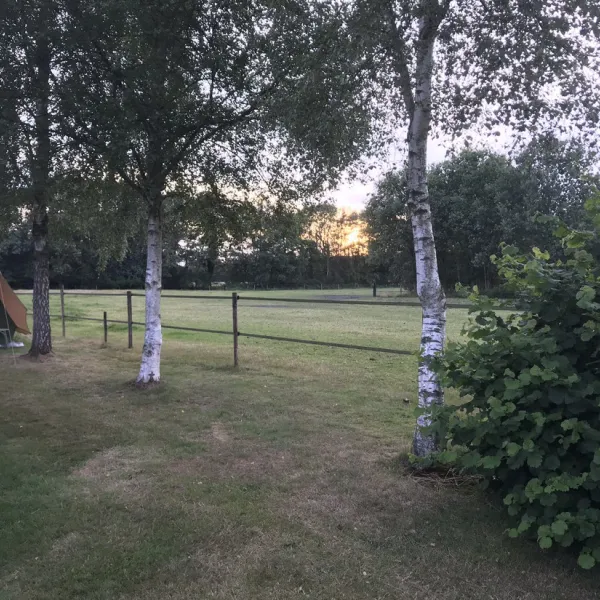 de-deelderij-schoonloo-x6eds