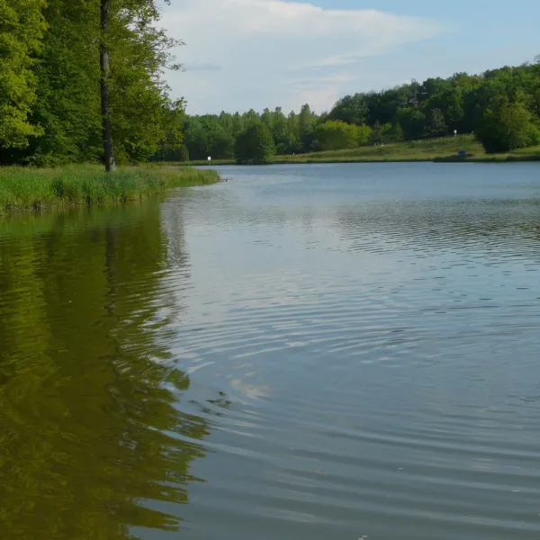 le-lac-preigney-bxmjr