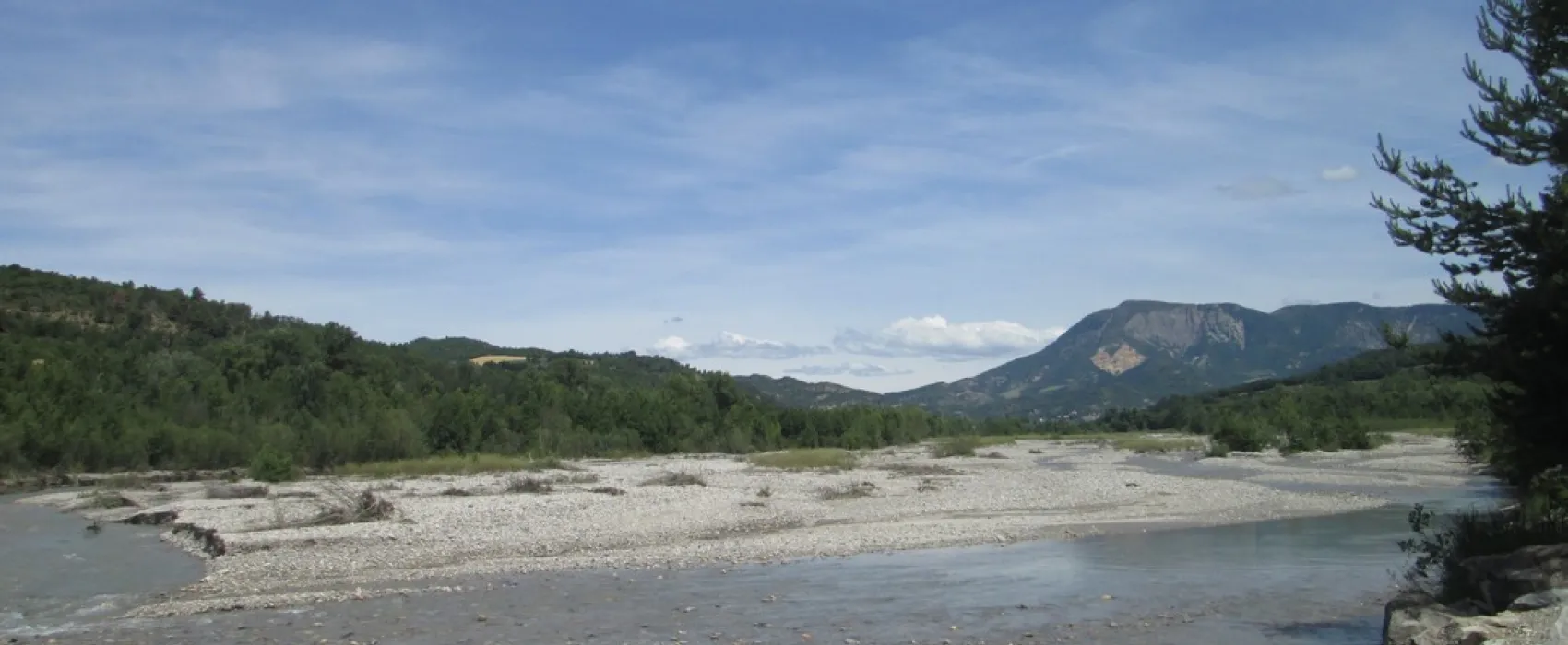La Célestine