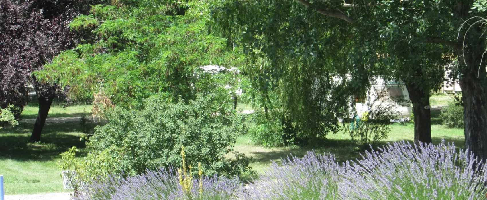 La Célestine