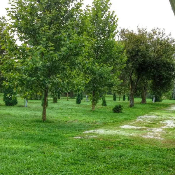 sarberki-horgaszto-es-camping-lenti-0ejcw