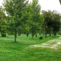 sarberki-horgaszto-es-camping-lenti-0ejcw