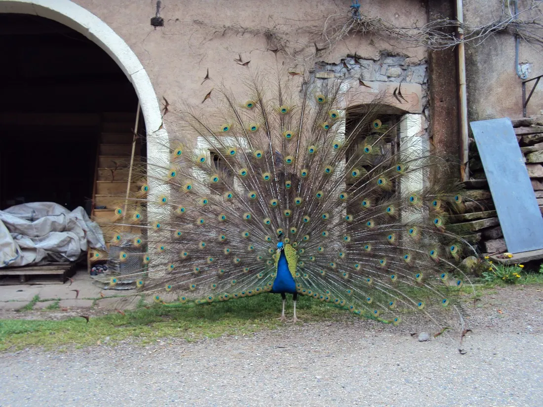 moulin-begeot-melisey-fa4mu