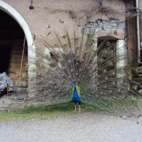 moulin-begeot-melisey-fa4mu