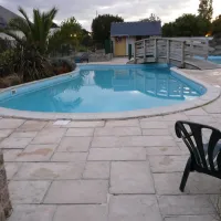 les-bles-dor-etables-sur-mer-gohse