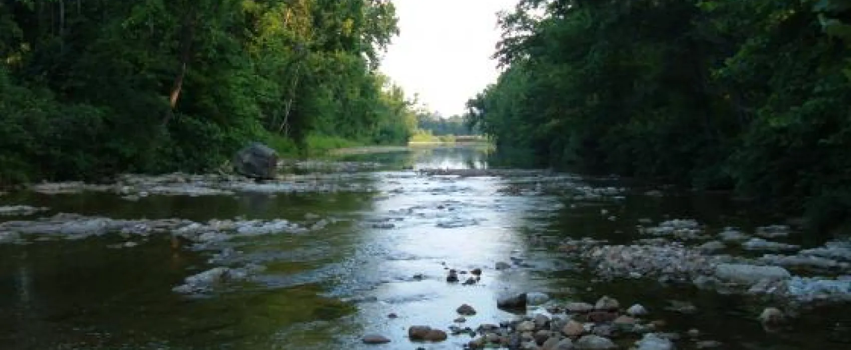 Big Creek RV Park 