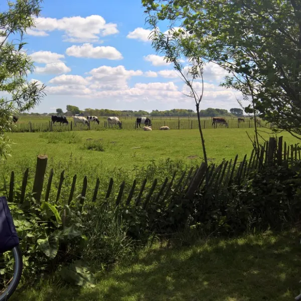 boerderijcamping-jonker-bergen-bergen-aan-zee-le0v2