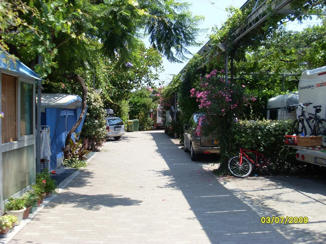 lino-in-cervo-imperia-82ldi