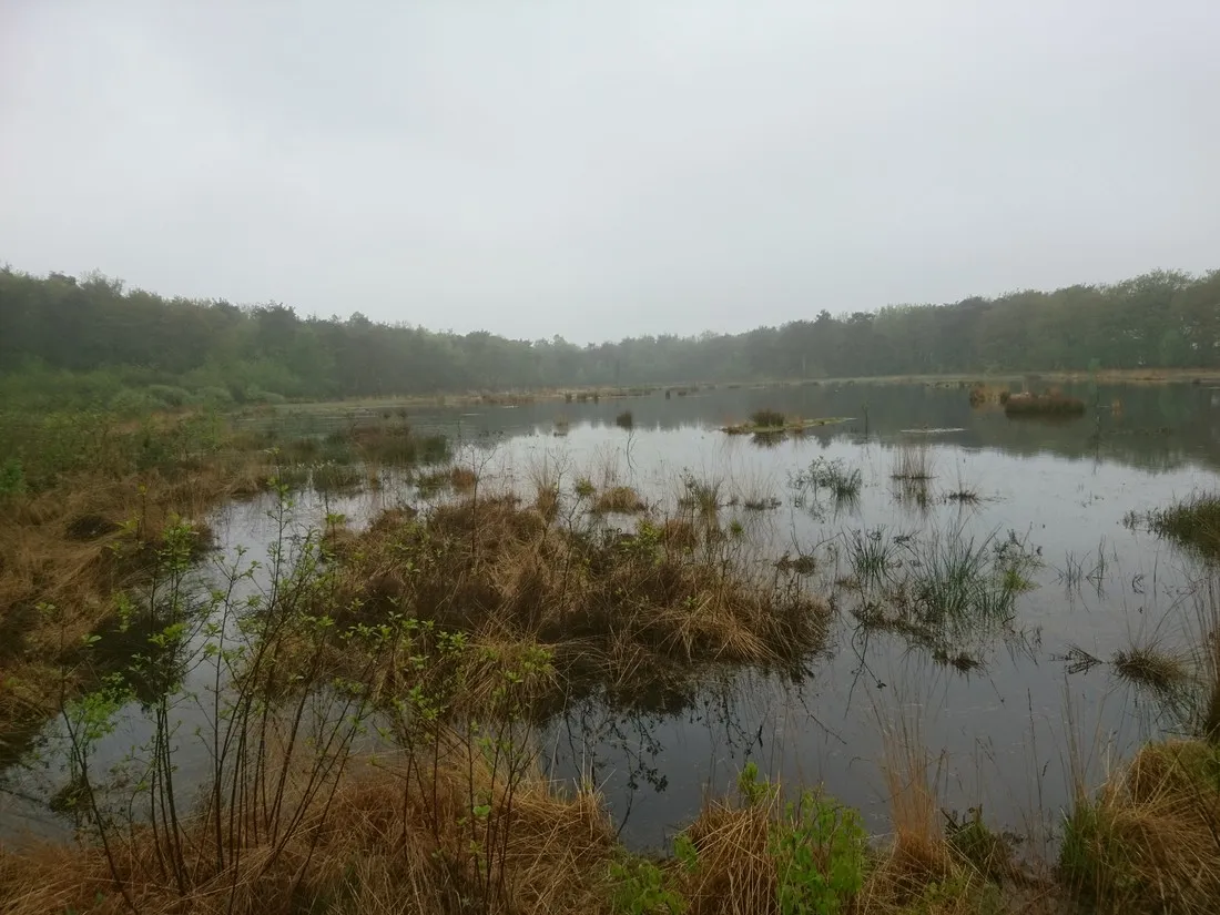 dolde-kamp-recreatie-ansen-pifor
