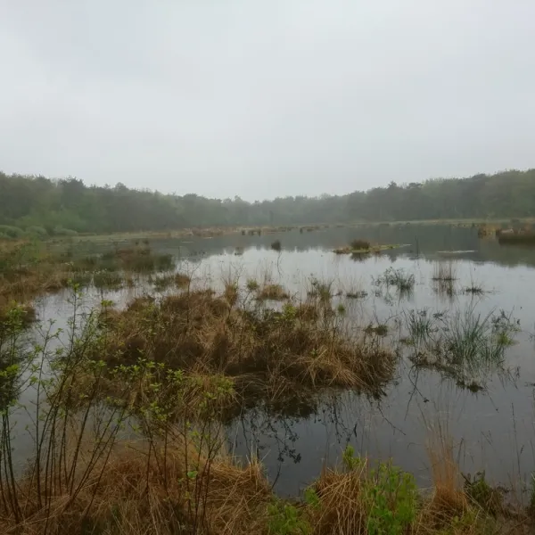 dolde-kamp-recreatie-ansen-pifor