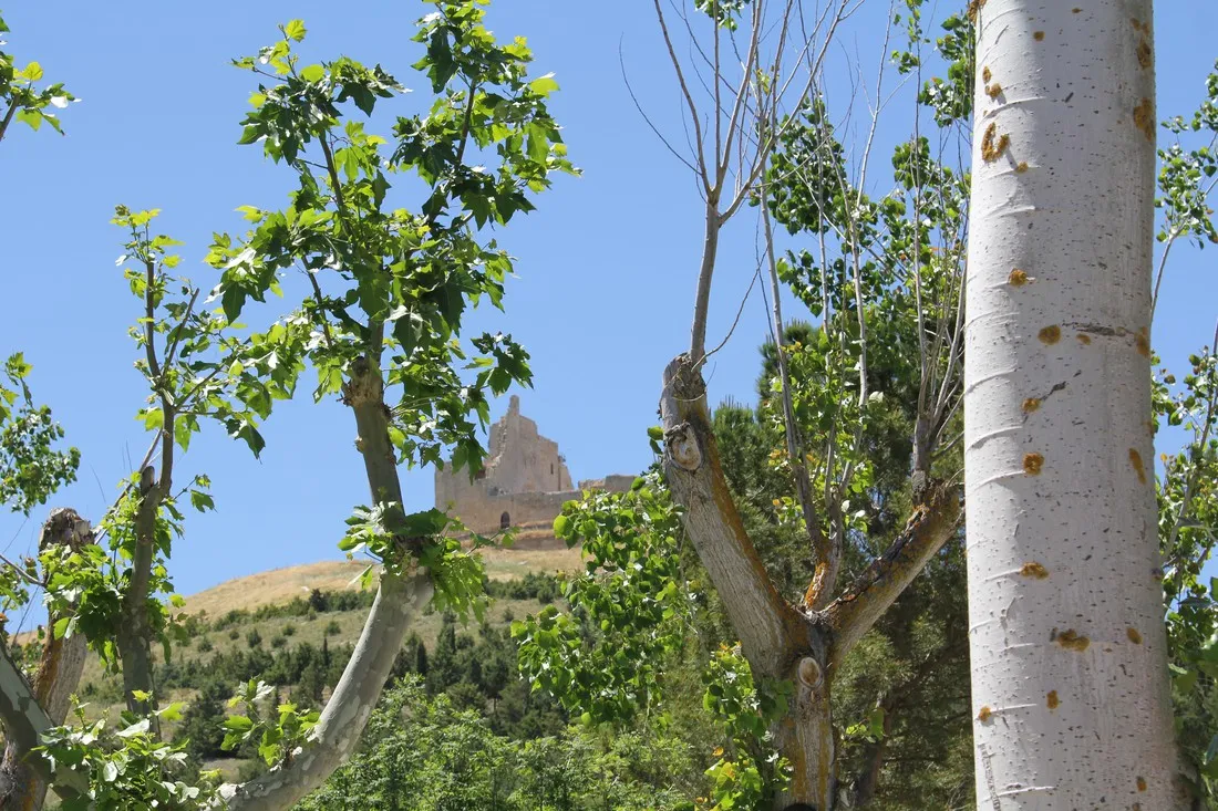 camino-de-santiago-castrojeriz-wniur