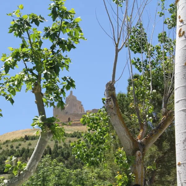 camino-de-santiago-castrojeriz-wniur