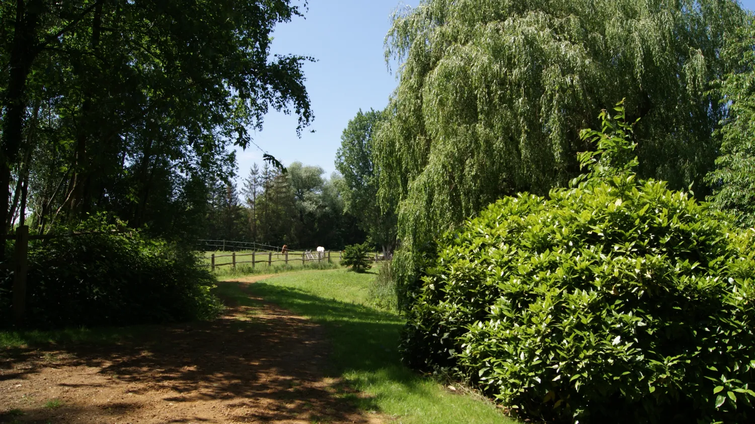willow-camp-beauvechain-85skw