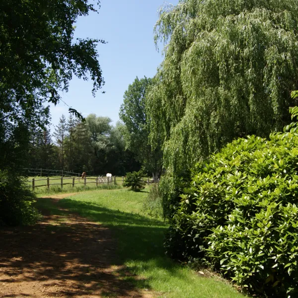 willow-camp-beauvechain-85skw