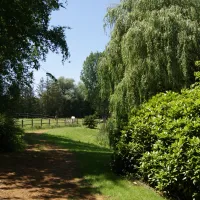 willow-camp-beauvechain-85skw