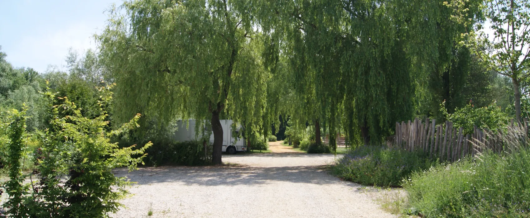 Willow Camp