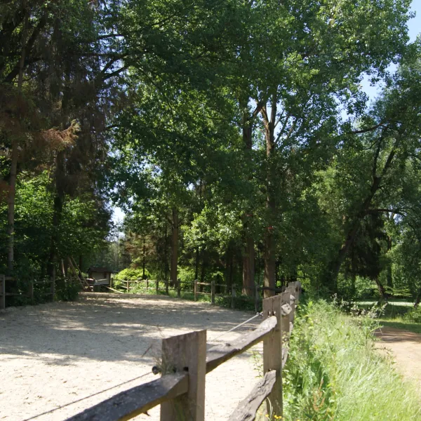 willow-camp-beauvechain-k8jny